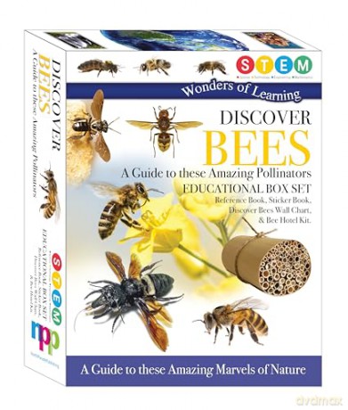 Discover Bees [KSIĄŻKA]