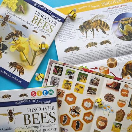 Discover Bees [KSIĄŻKA]