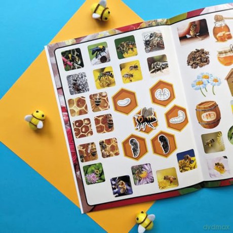 Discover Bees [KSIĄŻKA]