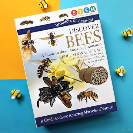 Discover Bees [KSIĄŻKA]