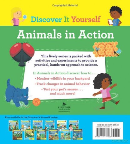 Discover It Yourself Animals In - Sally Morgan [KSIĄŻKA]
