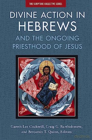 Divine Action In Hebrews - Bartholomew Craig [KSIĄŻKA]