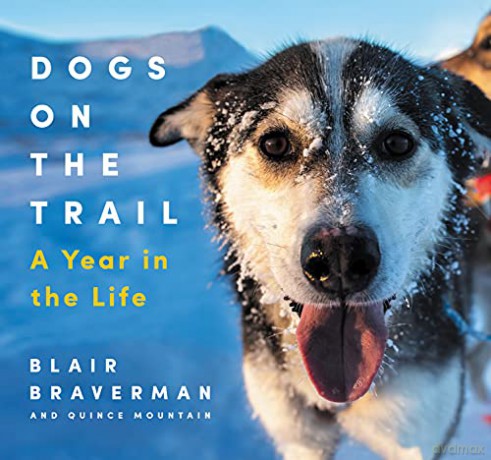 Dogs On The Trail - Blair Braverman [KSIĄŻKA]