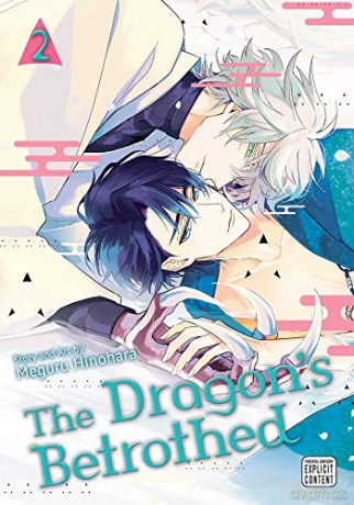 Dragons Betrothed Vol 2 - Meguru Hinohara [KSIĄŻKA]
