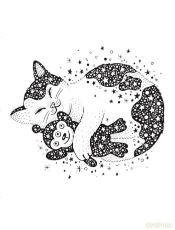 Dream [KSIĄŻKA]