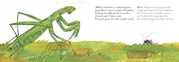 El Grillo Muy Silencioso - Eric Carle [KSIĄŻKA]