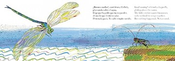 El Grillo Muy Silencioso - Eric Carle [KSIĄŻKA]