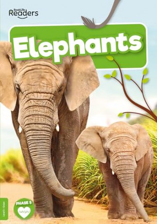 Elephants - Charis Mather [KSIĄŻKA]