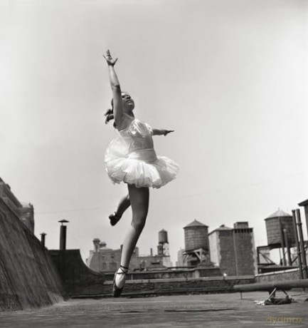 Elliott Erwitts New York - Elliott Erwitt [KSIĄŻKA]