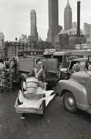 Elliott Erwitts New York - Elliott Erwitt [KSIĄŻKA]