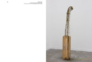 Erika Verzutti New Moons Hb - Verzutti [KSIĄŻKA]
