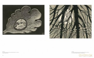 Escher - Mark Veldhuysen [KSIĄŻKA]