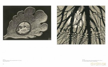 Escher - Mark Veldhuysen [KSIĄŻKA]