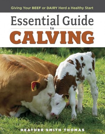 Essential Guide To Calving - Heather S Thomas [KSIĄŻKA]