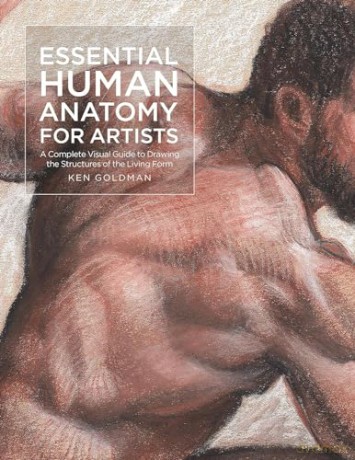 Essential Human Anatomy For Artists - Ken Goldman [KSIĄŻKA]