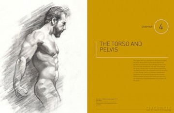Essential Human Anatomy For Artists - Ken Goldman [KSIĄŻKA]