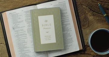 Esv Bible Promises [KSIĄŻKA]