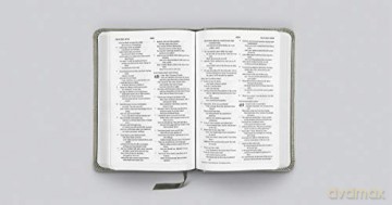 Esv Compact Bible Trutone Stone - Esv [KSIĄŻKA]