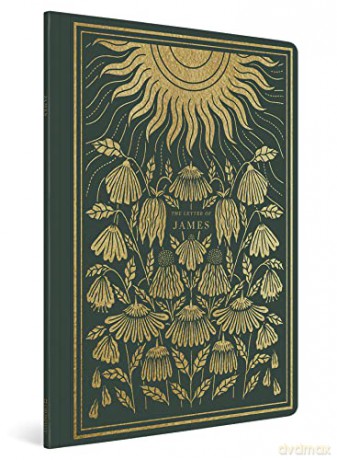 Esv Illuminated Sj James - Esv [KSIĄŻKA]