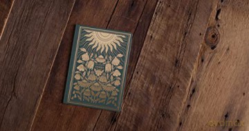 Esv Illuminated Sj James - Esv [KSIĄŻKA]