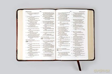Esv Large Print Compact Bible Trut [KSIĄŻKA]