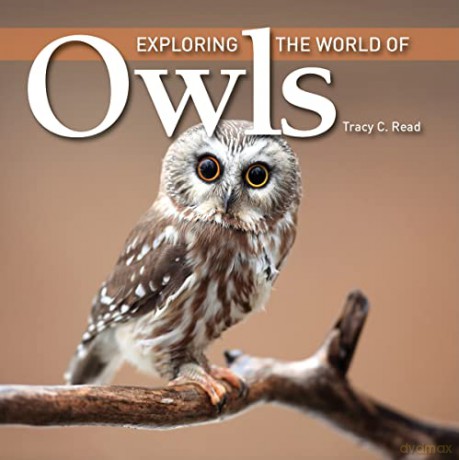 Exploring The World Of Owls - Tracey C Read [KSIĄŻKA]