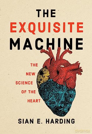 Exquisite Machine - Sian E Harding [KSIĄŻKA]