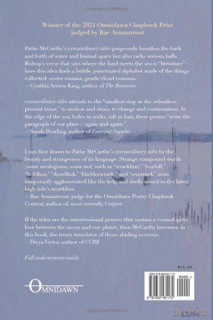 Extraordinary Tides - Pattie Mccarthy [KSIĄŻKA]