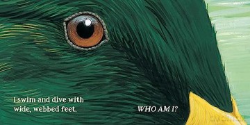 Eye Guess - Phyllis Limb Tildes [KSIĄŻKA]