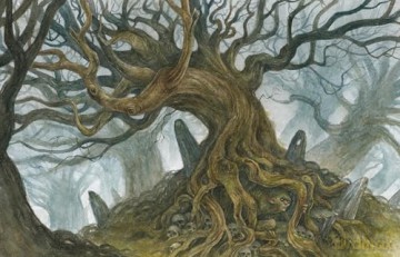 Faeries Of The Faultlines - Iris Compiet [KSIĄŻKA]