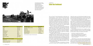 Ferdinand/Elefant - David Doyle [KSIĄŻKA]