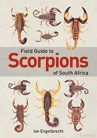 Field Guide to Scorpions of South Africa - Ian Engelbrecht [KSIĄŻKA]
