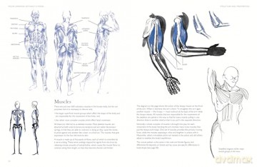 Figure Drawing Without A Model - Ron Tiner [KSIĄŻKA]