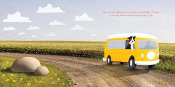 Find Momo Everywhere - Andrew Knapp [KSIĄŻKA]
