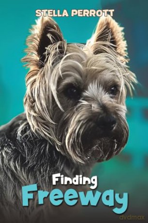 Finding Freeway - Stella Perrott [KSIĄŻKA]