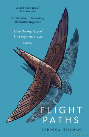 Flight Paths - Rebecca Heisman [KSIĄŻKA]
