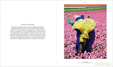 Flora Photographica - William A Ewing [KSIĄŻKA]
