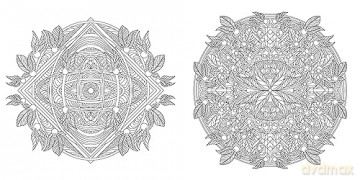Floral Mandalas Coloring Book - Sara (Illus) Muzio [KSIĄŻKA]