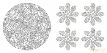 Floral Mandalas Coloring Book - Sara (Illus) Muzio [KSIĄŻKA]