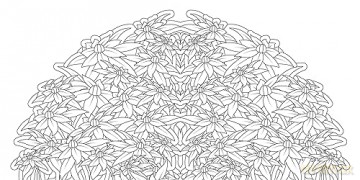 Floral Mandalas Coloring Book - Sara (Illus) Muzio [KSIĄŻKA]