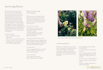 Floristry - Milli Proust [KSIĄŻKA]