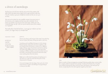 Floristry - Milli Proust [KSIĄŻKA]