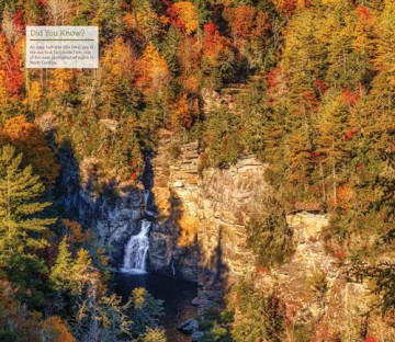 Fodors Infocus Great Smoky Mountains Na [KSIĄŻKA]