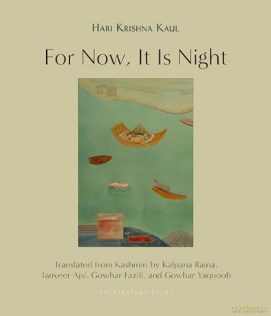For Now It Is Night - Hari Krishna Kaul [KSIĄŻKA]