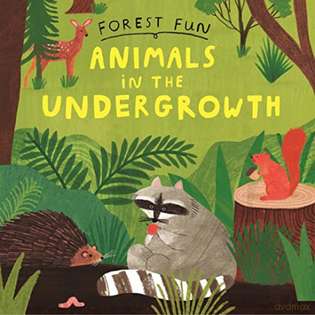 Forest Fun Animals In The Undergrowth [KSIĄŻKA]