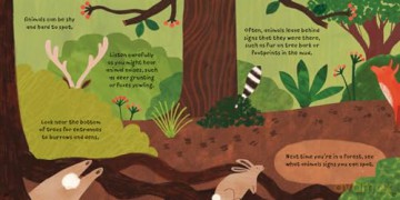 Forest Fun Animals In The Undergrowth [KSIĄŻKA]