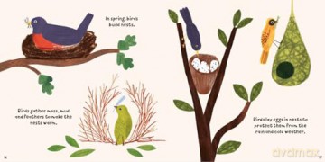 Forest Fun Birds In The Trees [KSIĄŻKA]