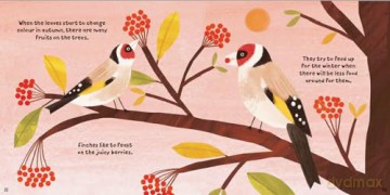 Forest Fun Birds In The Trees [KSIĄŻKA]