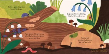 Forest Fun Bugs In The Mud [KSIĄŻKA]