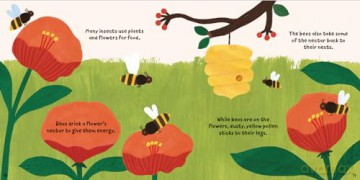 Forest Fun Insects In The Flowers [KSIĄŻKA]